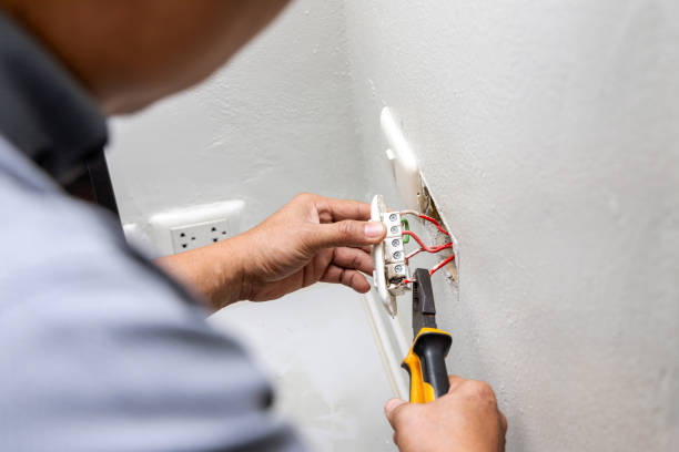Best Electric Panel Repair  in Pike Road, AL