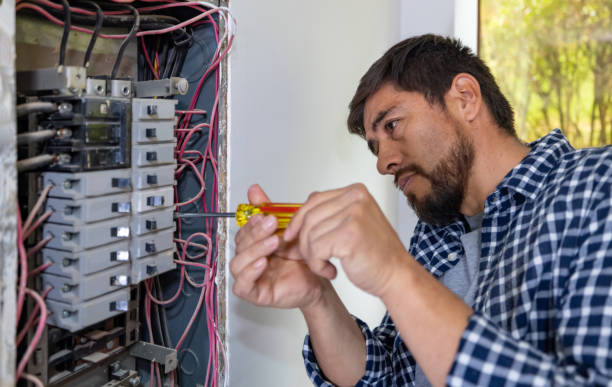 Best Ceiling Fan Installation Electrician  in Pike Road, AL